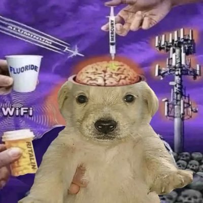 DesignsByPeak's profile picture