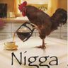 Chicken profil fotoğrafı