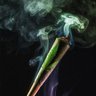 Фото профиля Blunt King