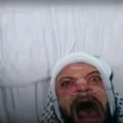 biscornulle's profile picture
