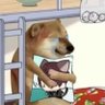 Profilbild von PokPok 啵啵 🍎🐺🐦‍⬛