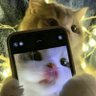 Profilbild von نونا