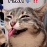 beanbean profil fotoğrafı