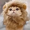 Profilbild von W