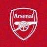 Gunners❤️🔫's profile picture