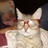 Profilbild von yapaholic5009