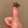 Thumb In A Cowboy Hat's profile picture