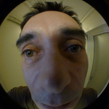 bkant's profile picture