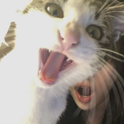 __itsmecat's profile picture