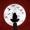topvidz profil fotoğrafı