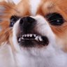 NIco98's profile picture
