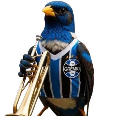 Canarinho Tricolor's profile picture