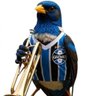 Фото профиля Canarinho Tricolor