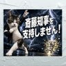 Jin_Masuda 的头像