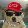 WAGMI's profile picture