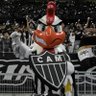 CAÇADOR DE RATOS's profile picture