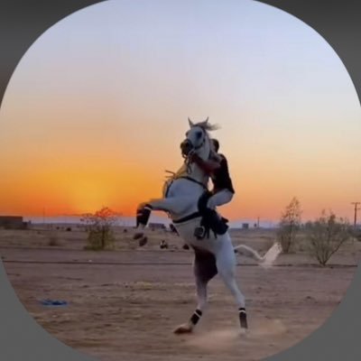 Sadiq4555's profile picture