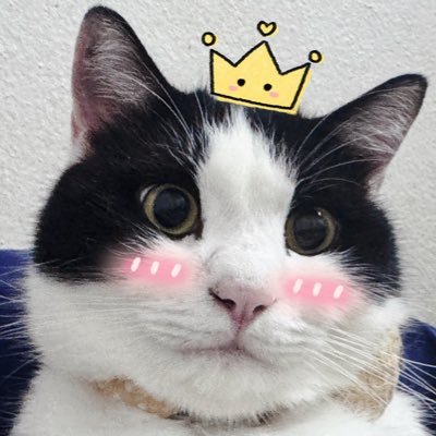 ChamaipornSmile's profile picture