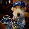 Profilbild von kev