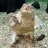 Don T profil fotoğrafı
