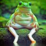 Фото профиля yu-jin