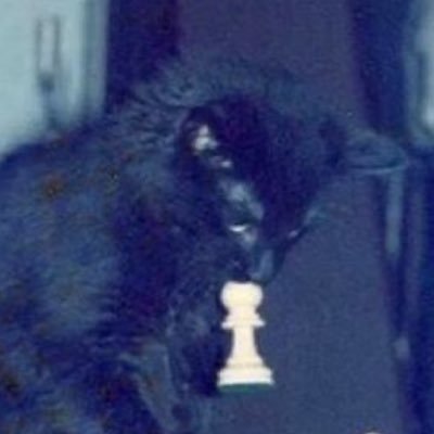 sleepyxdlol's profile picture