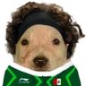 Profilbild von 🇲🇽 El_Rustyy