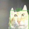 huloo profil fotoğrafı