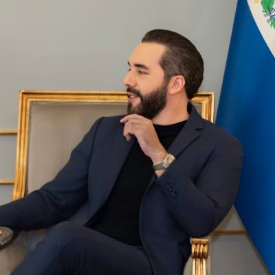 nayibbukele's profile picture