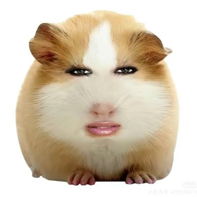 nayan185x's profile picture