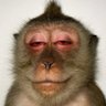 Profilbild von Masato Kanezaki