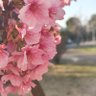 Akana7 profil fotoğrafı