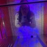 shana 🎀🪽 profil fotoğrafı