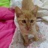 sofia profil fotoฤrafฤฑ