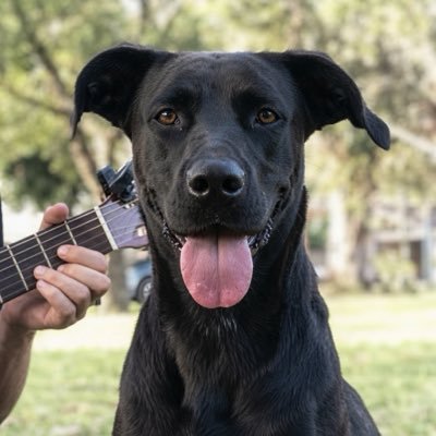 M A I O R I's profile picture
