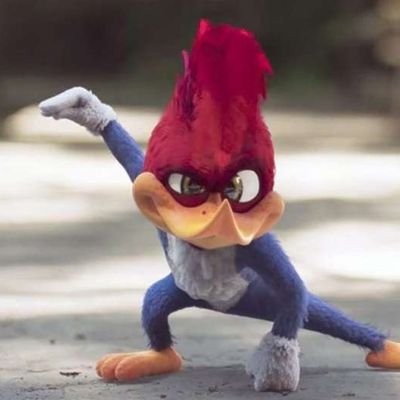 pajaroloco24069's profile picture