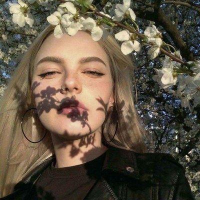 arabfclcwydcv's profile picture