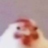 Poichi is chaotic's profile picture