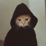 🦇's profile picture