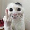 わほっちとかいうクソニートいね profil fotoğrafı