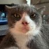 SongBinh's profile picture