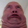 ampollamental's profile picture