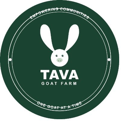 Tavagoat's profile picture