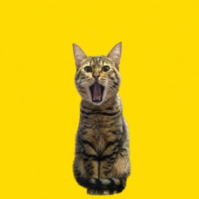 umenoconbu21's profile picture