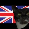 Virtue Signaller ๐๐ป๐'s profile picture