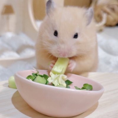 freyfiozqzxop's profile picture