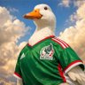 Joey F's profile picture