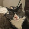 Profilbild von Stephen
