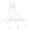 Ermano's profile picture