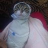 بزون مكمط's profile picture